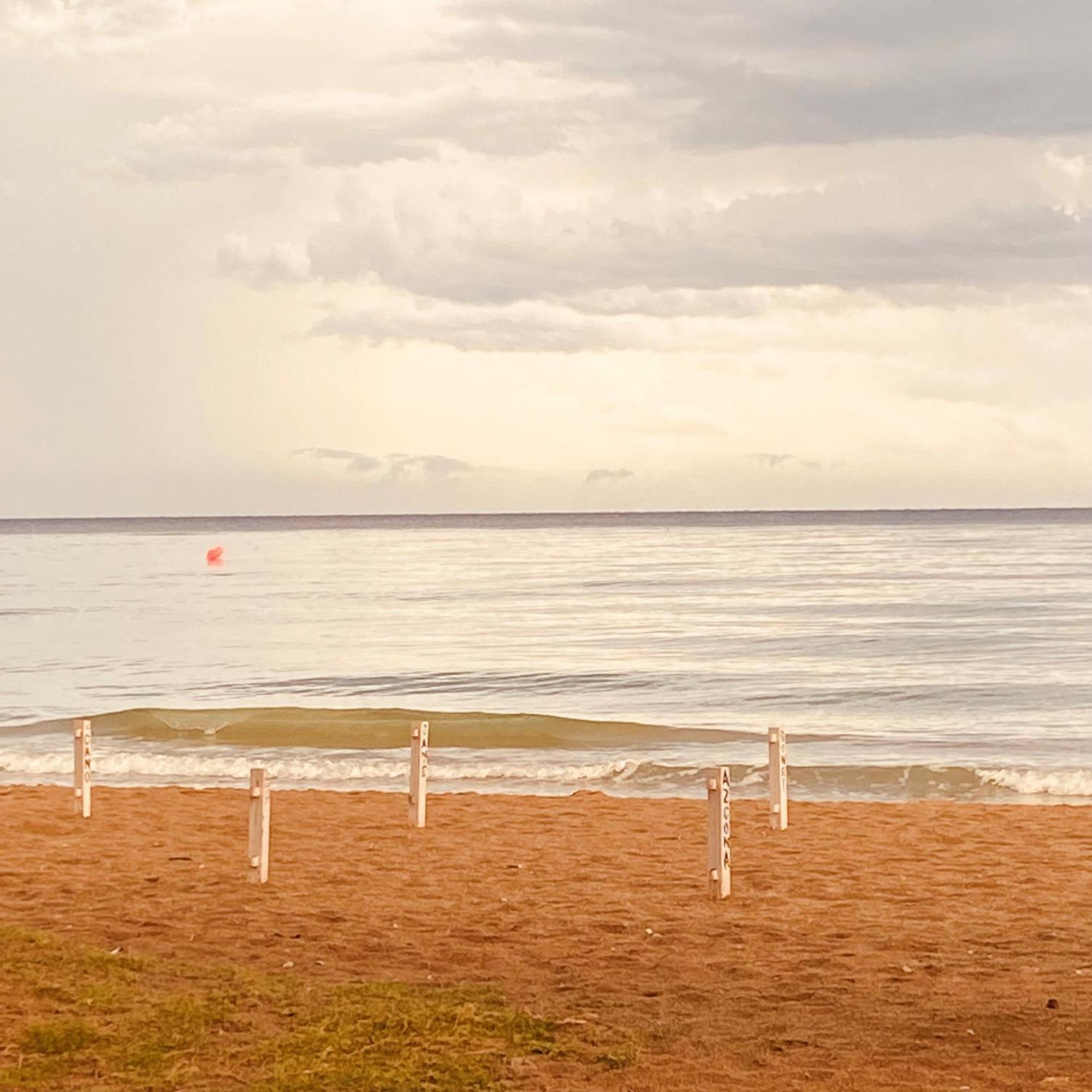 Acogedor Y Amplio Apartamento Familiar A Pie De Playa カラフェル エクステリア 写真
